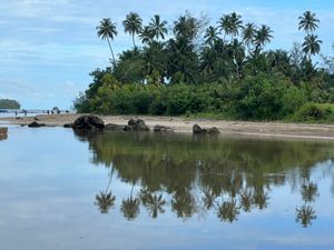 Palm trees off the coast of Nias island