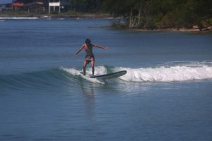 Will surfing