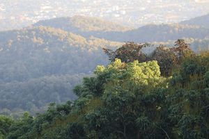 View of mountains in Chiang Mai