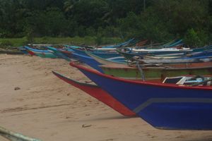 Local fishing boats, docked at the end of a long day