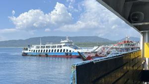 Multiple ferries in a port, viewed from the side of another ferry